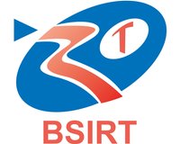 BSIRT