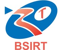 About BSIRT