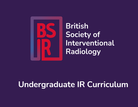 Undergraduate IR Curriculum